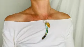 Amber, Paua & Silver Pendant. Sterling Silver Snake Chain.