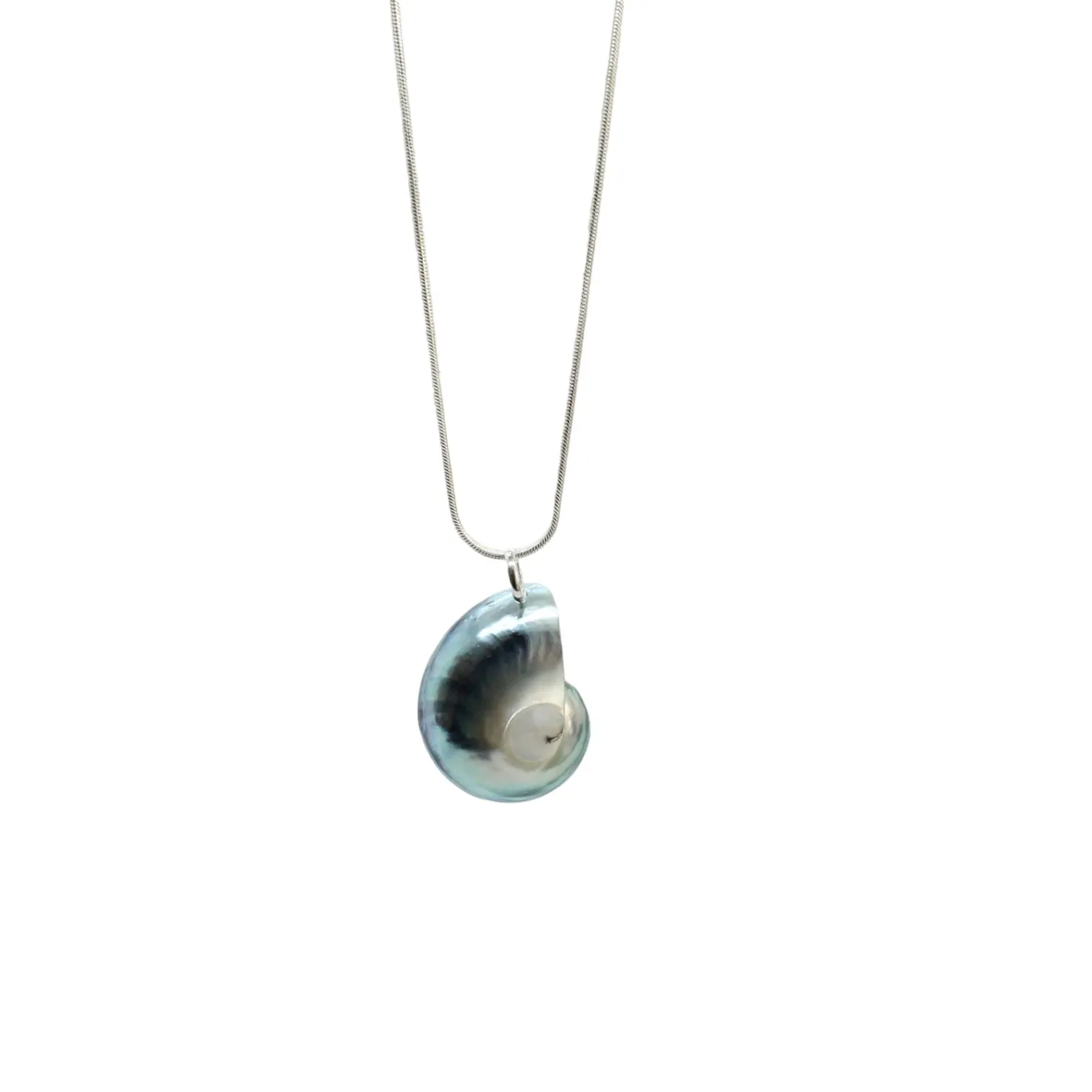 Nautilus Necklace - Limited ED (3 Styles)