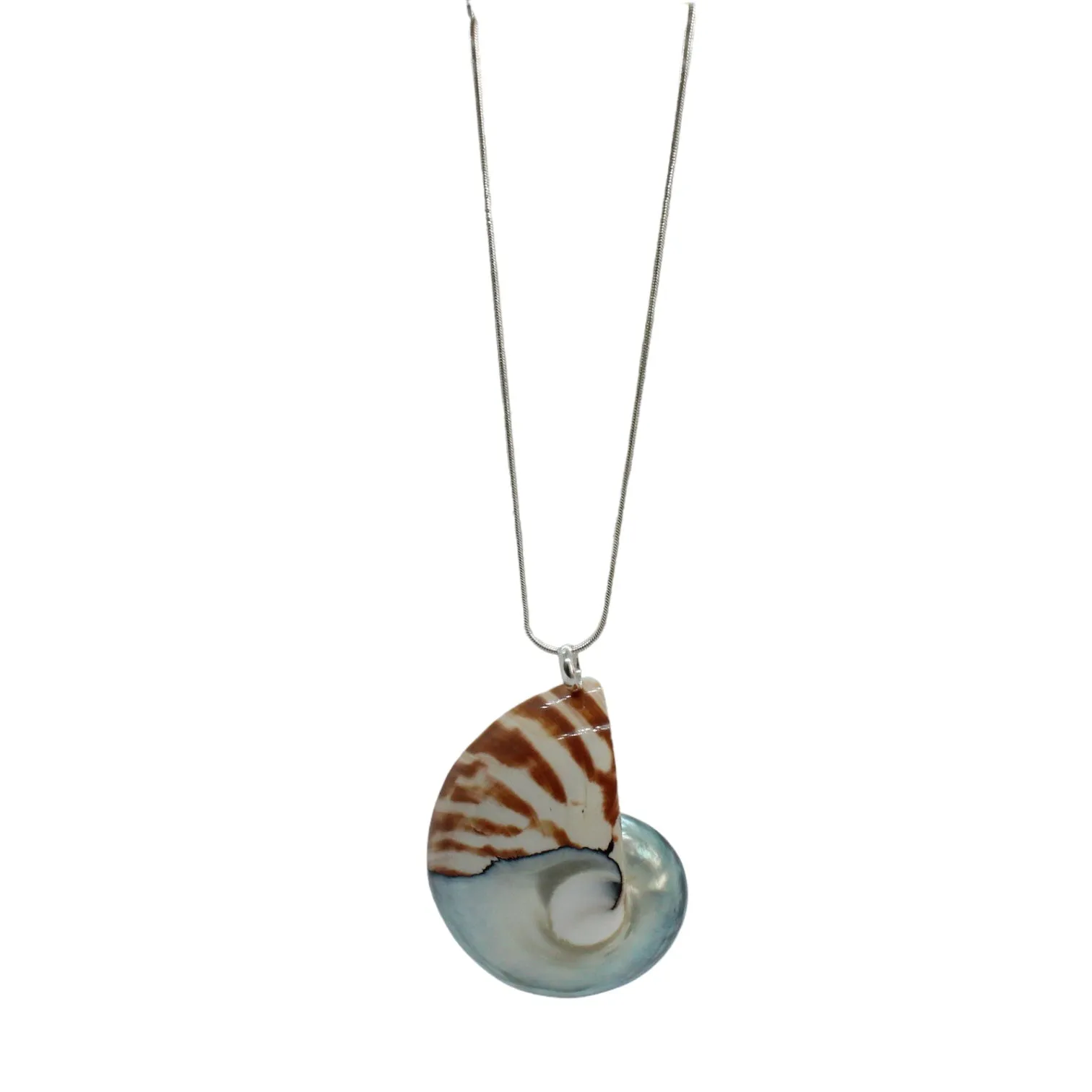 Nautilus Necklace - Limited ED (3 Styles)