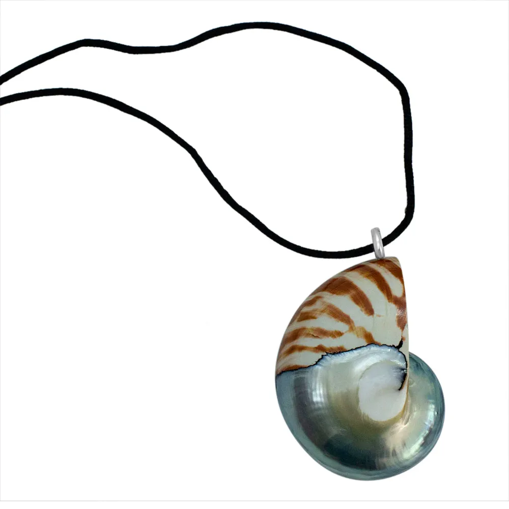 Nautilus Necklace - Limited ED (3 Styles)