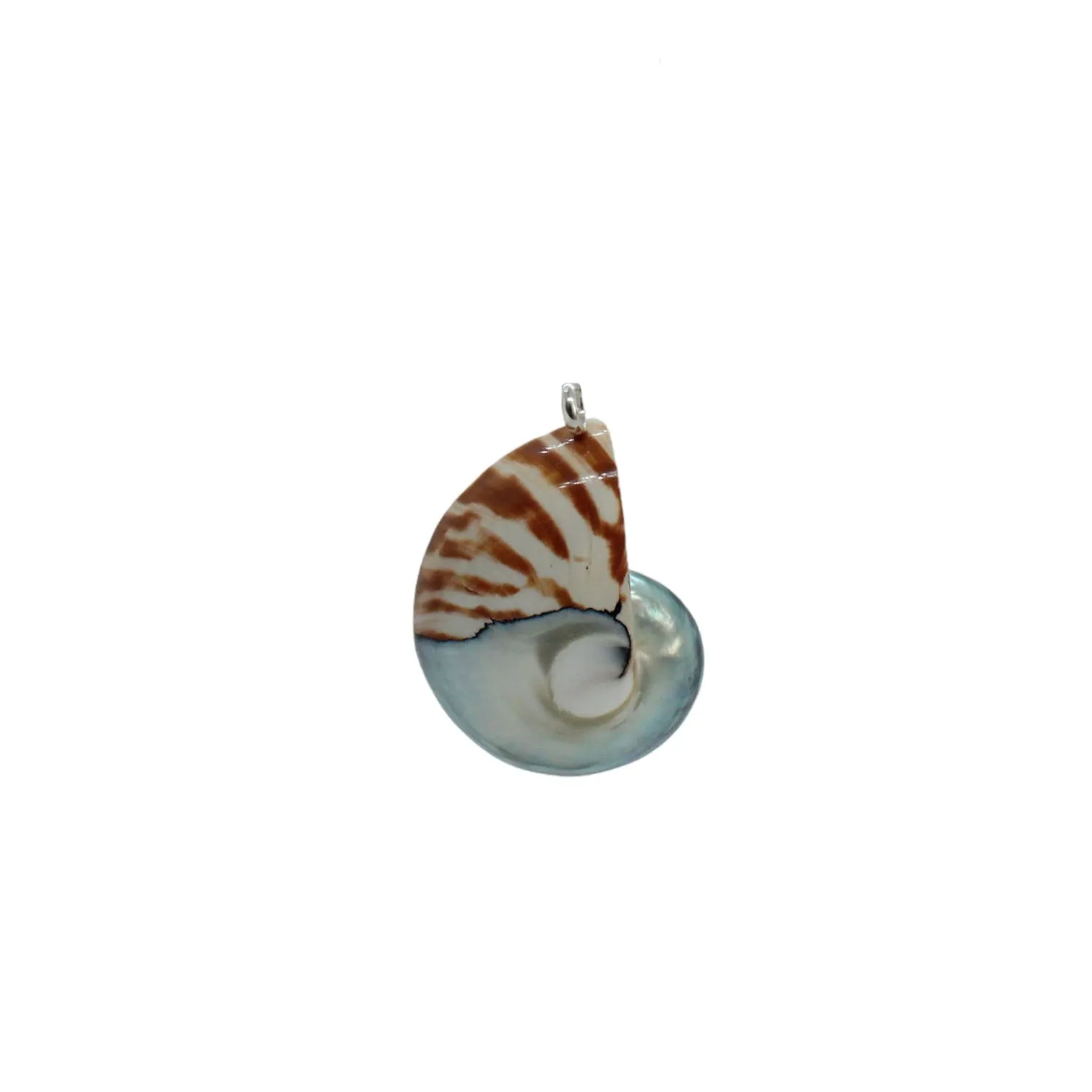Nautilus Necklace - Limited ED (3 Styles)