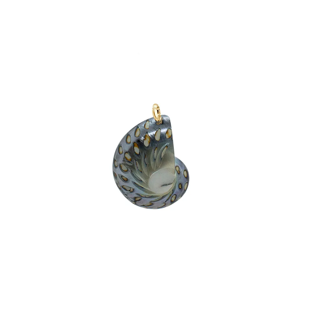 Nautilus Necklace - Limited ED (3 Styles)