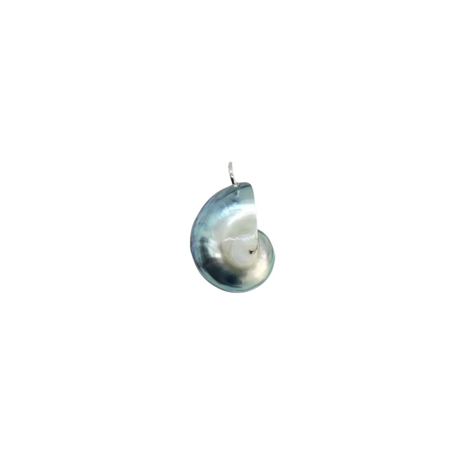 Nautilus Necklace - Limited ED (3 Styles)