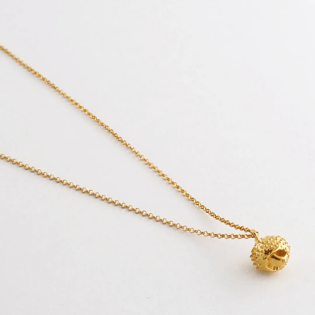 Water oak nut - sparkling necklace - silver 925 - gold plated