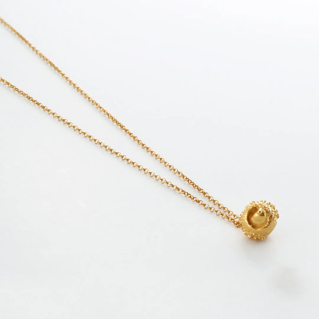 Water oak nut - sparkling necklace - silver 925 - gold plated